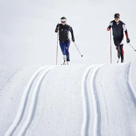 Apartmán Alpen *